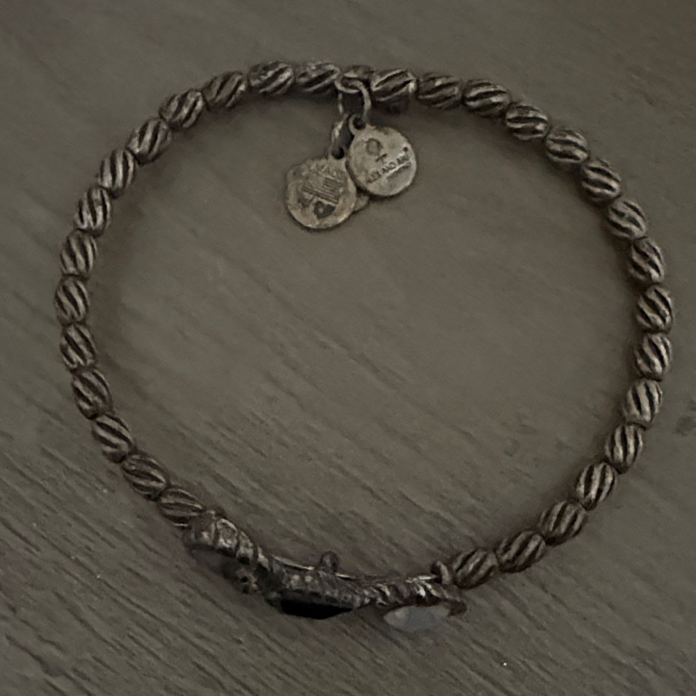 Alex and ani vintageTwisted Silver Bracelet with Charms